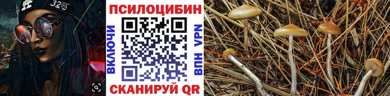 Галлюциногенные грибы Cubensis  где можно купить наркотик  omg как войти  Остров 